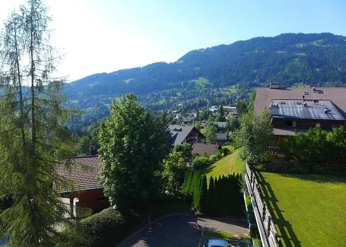 Le Bristol A20 By Interhome *