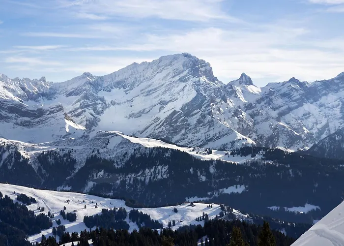 Le Bristol A20 By Interhome Apartman