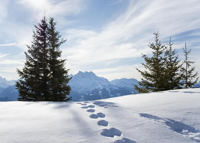 Le Bristol A20 By Interhome Apartman