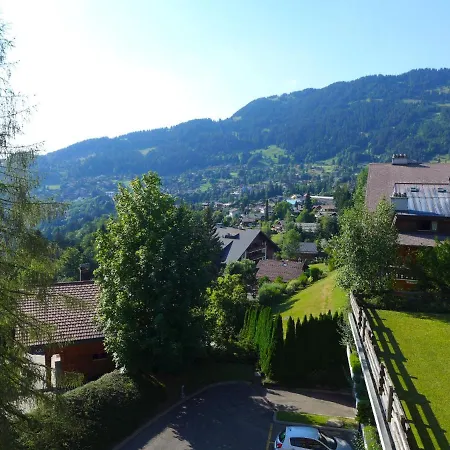 Le Bristol A20 By Interhome *