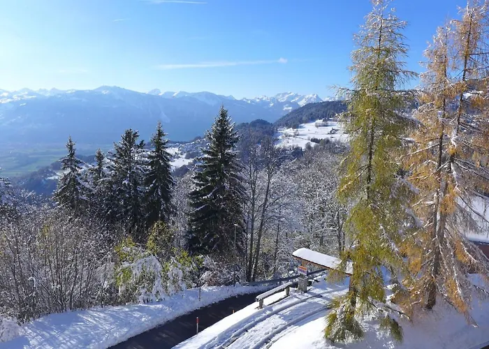 Le Bristol A20 By Interhome Villars-sur-Ollon