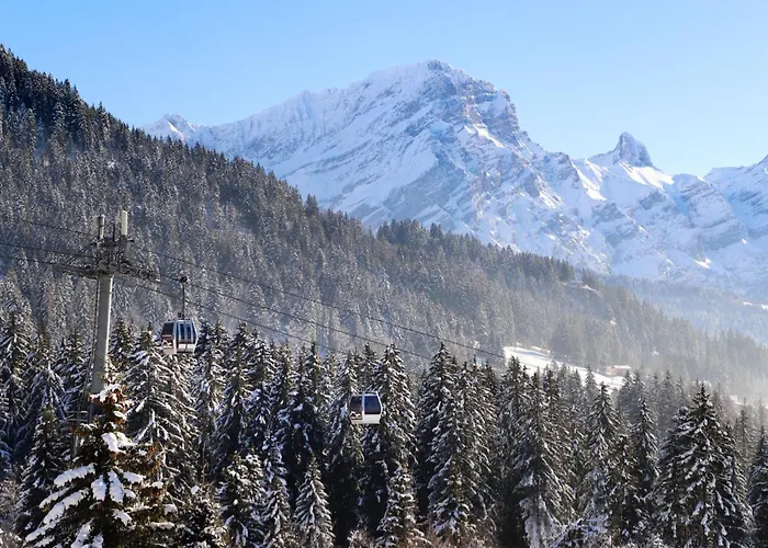 Le Bristol A20 By Interhome