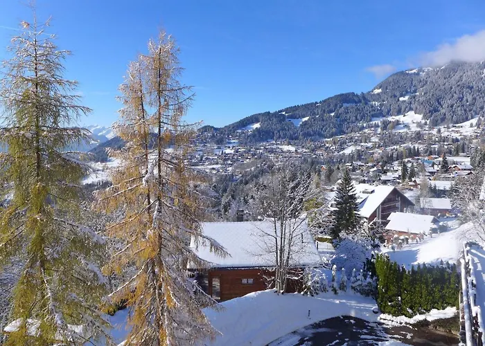 Le Bristol A20 By Interhome ヴィラール・シュル・オロン