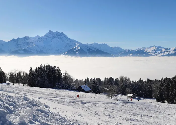 Le Bristol A20 By Interhome アパート ヴィラール・シュル・オロン